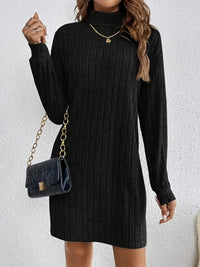 Noemi | Ribbed Turtleneck Long Sleeve Dress for Women