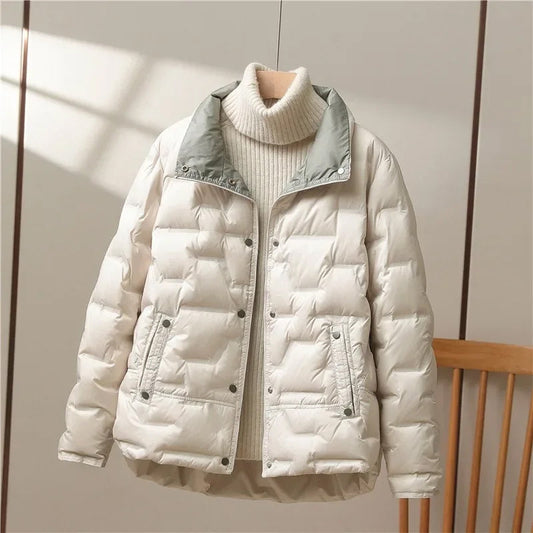 Collar Jacket | Sleek Warmth with Modern Minimalism