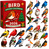 Bird Advent Calendar Christmas Gift Ornament Set